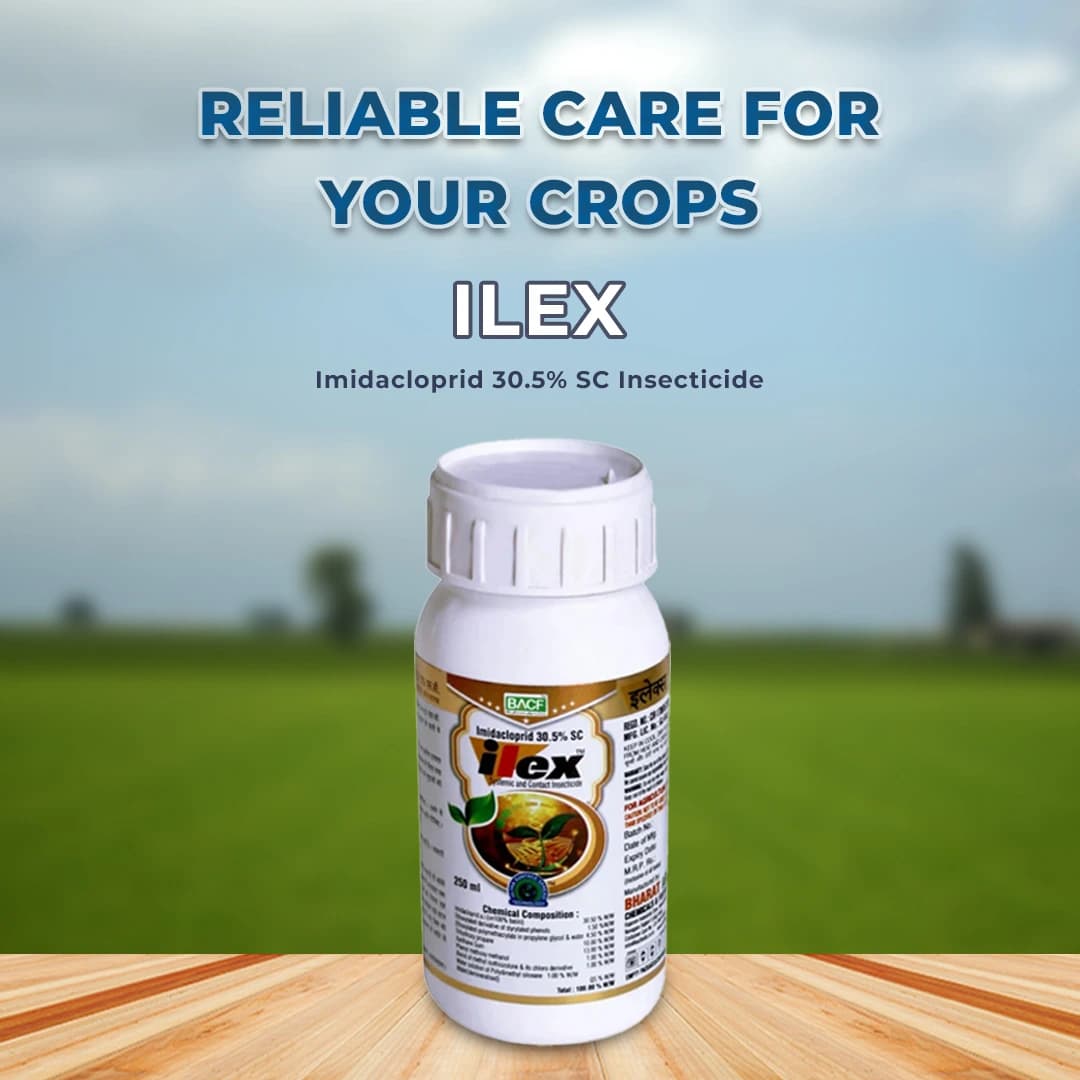 BACF ILEX Imidacloprid 30.5% SC Insecticide, Contact And Stomach Action, Best For Sucking Pest - Image 2