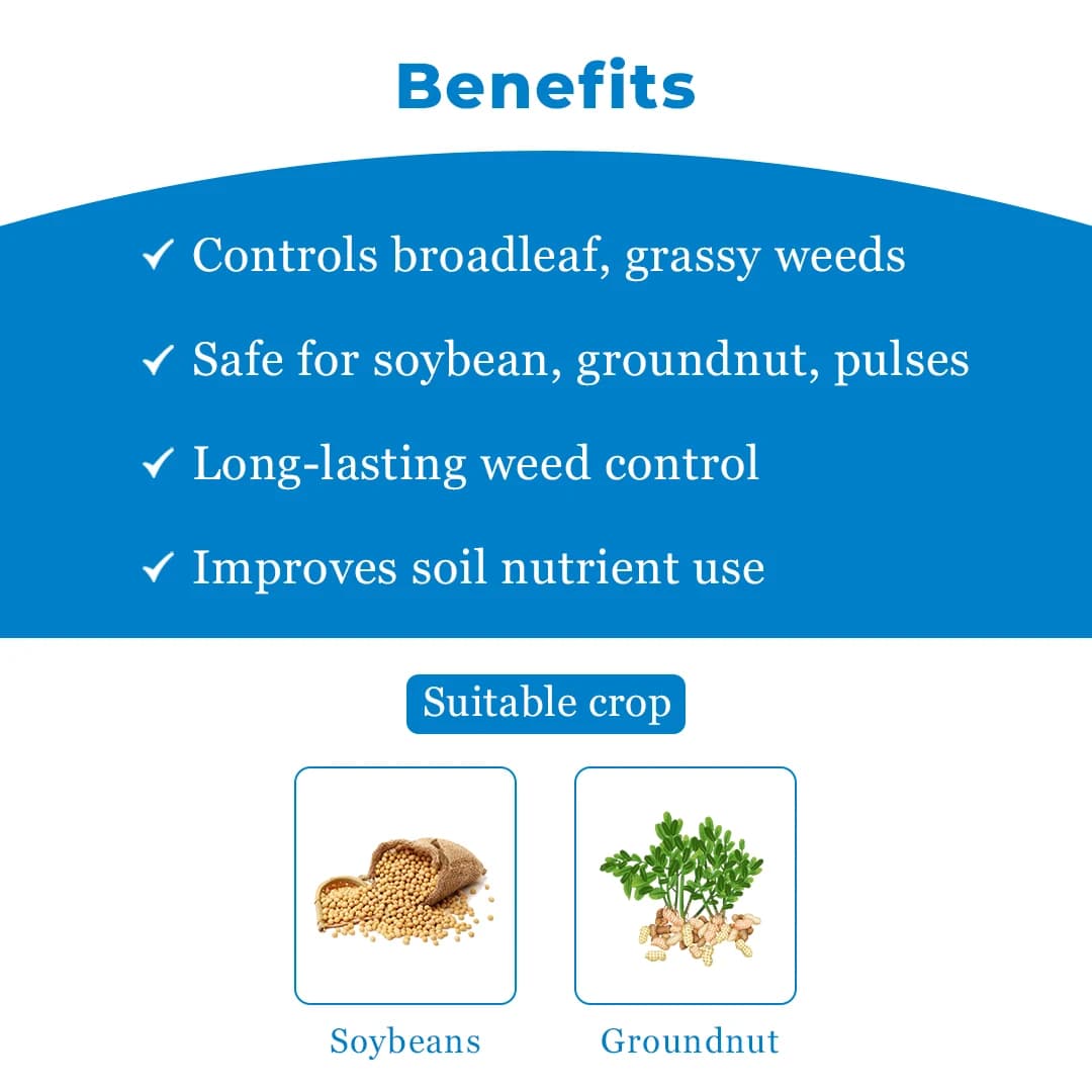 Btrail & Surfactant Herbicide - Imazethapyr 10% SL - Image 4