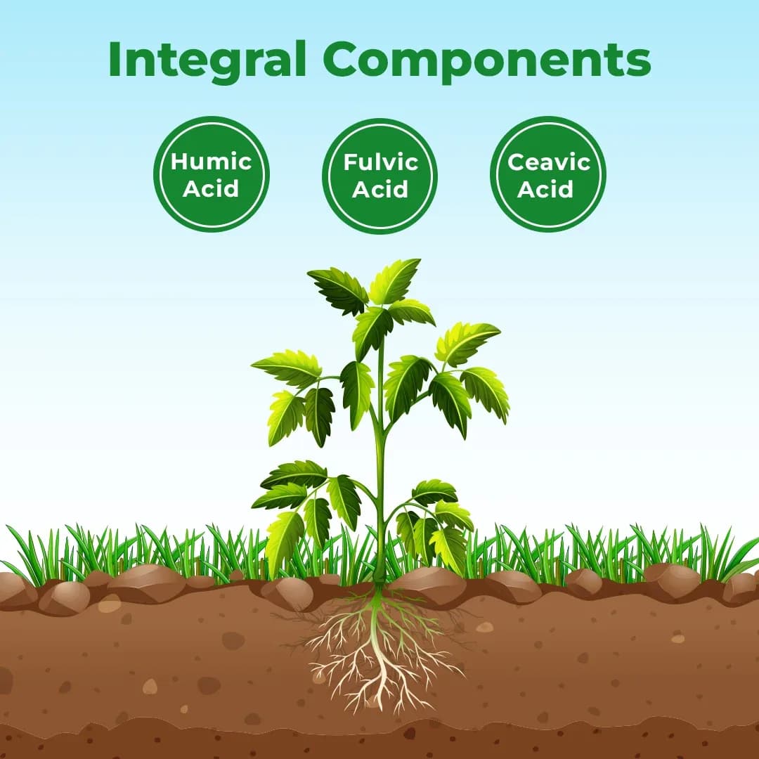 BACF Humus - Potassium Humate Plant Growth Promoter, Humic 80%, Fulvic Acid 5%, Ceavic 5%, Other 10% - Image 3