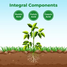 BACF Humus - Potassium Humate Plant Growth Promoter, Humic 80%, Fulvic Acid 5%, Ceavic 5%, Other 10% 3