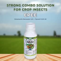 BACF Epee Emamectin Benzoate 1.5% + Fipronil 3.5% SC, Systemic and Contact Insecticides, Used For Chilli, Cotton, Cumin, Onion, Garlic, Vegetables. 2