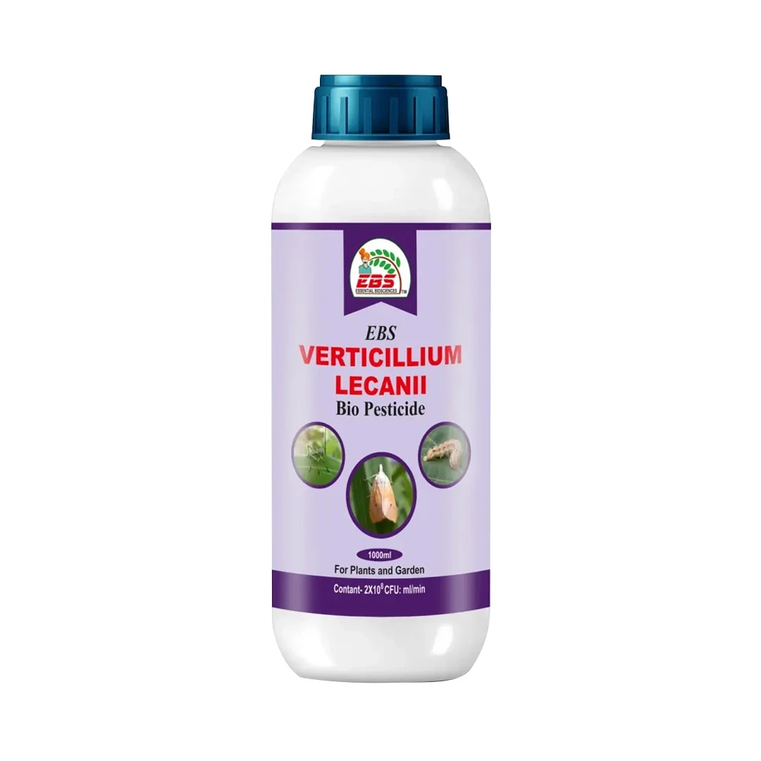 EBS Verticillium Lecanii Bio Pesticide