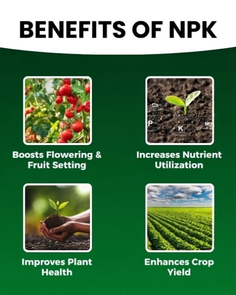 Katyayani NPK 00:52:34 (Mono Potassium Phosphate) Water Soluble Fertilizer For Promoting Flowering and Root Development In All Types of Crops - Image 3