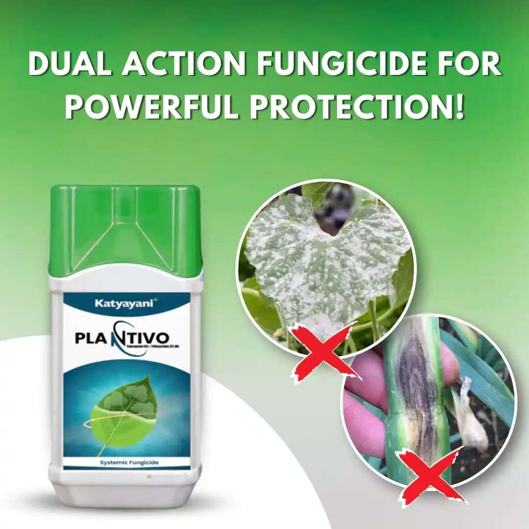 Katyayani Plantivo Fungicide - Tebuconazole 50% + Trifloxystrobin 25% WG