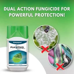 Katyayani PLANTIVO Tebuconazole 50% + Trifloxystrobin 25% WG Fungicide, Dual-Action Control Fungal Diseases 2