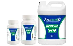Anfagrow Plus Growth Promoter for Cattle, Cow, Buffaloes, Horses, Goats & Sheep, Poultry, Animal Feed Supplements 4