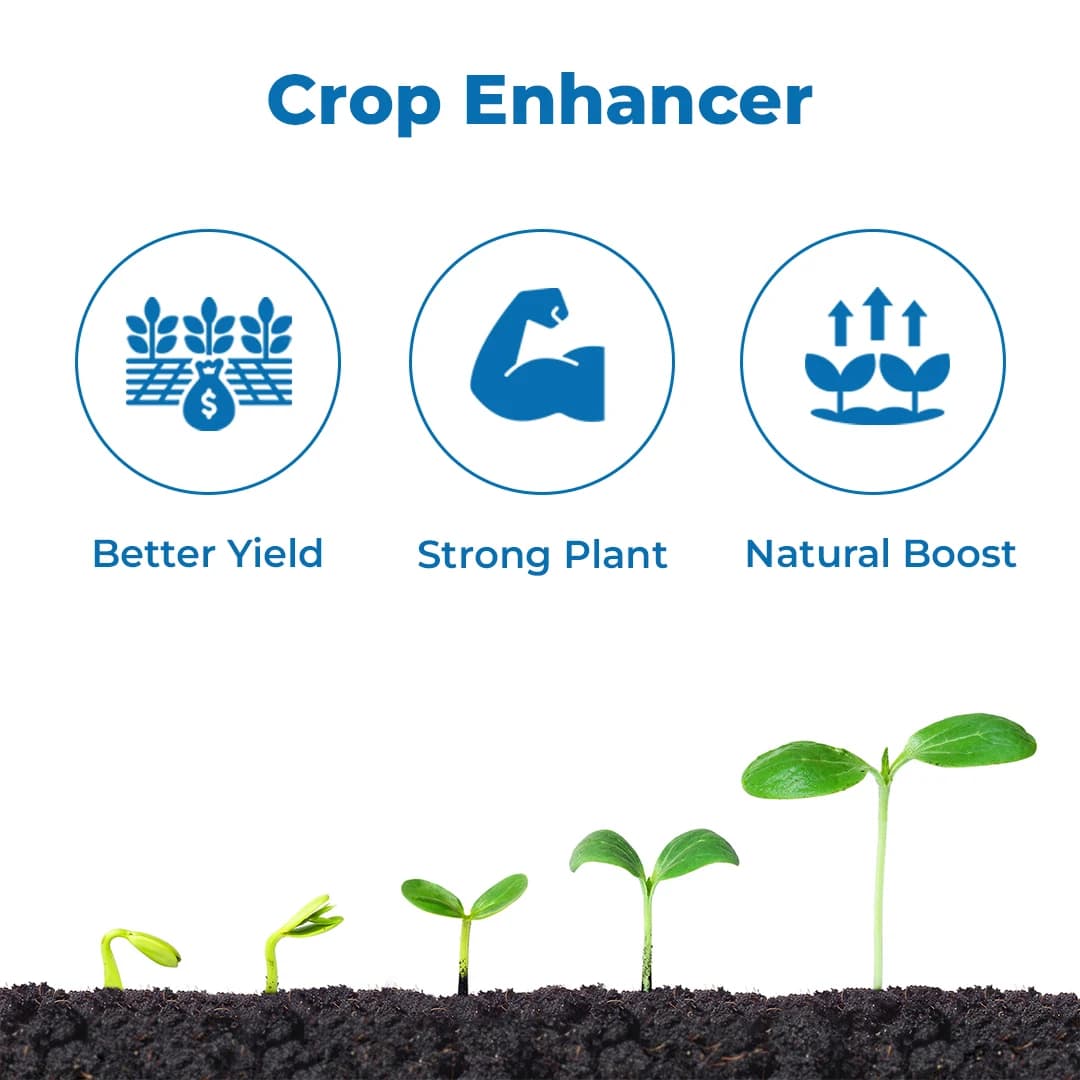 BACF Bustex Potash 2500 Plant Derived Potash (K20 25%), Increases Branching, Flowering and Fruits - Image 3