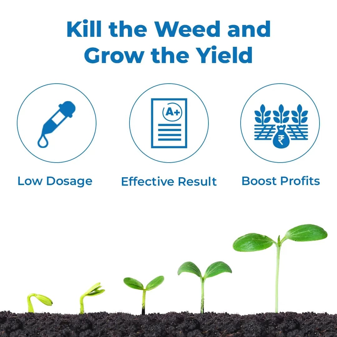 Agriventure Pendi Silver (Pendimethalin 30% Ec) Used As Pre-Emergent Herbicide - Image 3
