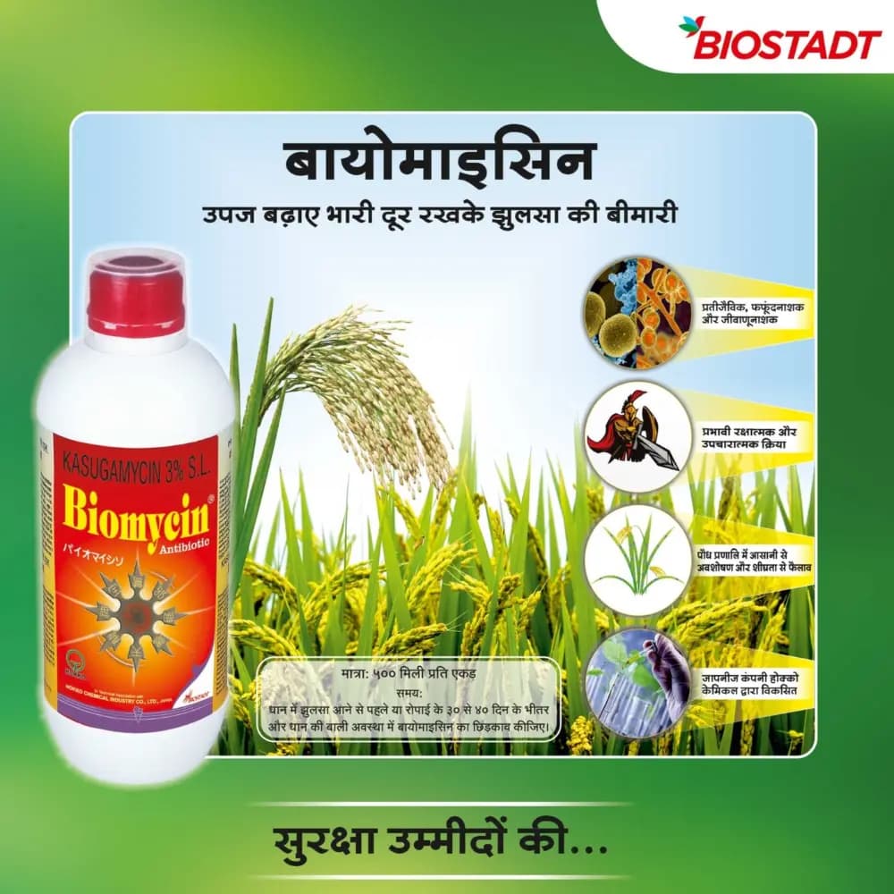 Biostadt Biomycin Kasugamycin 3% SL Fungicide, Effective Antibiotic And Bactericide For Disease Control In Crop - Image 2