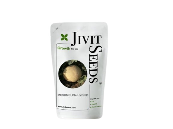 Jivit JS-111 Muskmelon Seeds - (Kharbuja Seeds) Popular Creamish Netted Color Variety