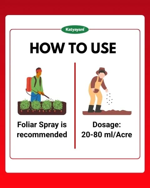 Katyayani Fluben Flubendiamide 39.35% SC Insecticide, Target a Range of Lepidopteran Pests - Image 5