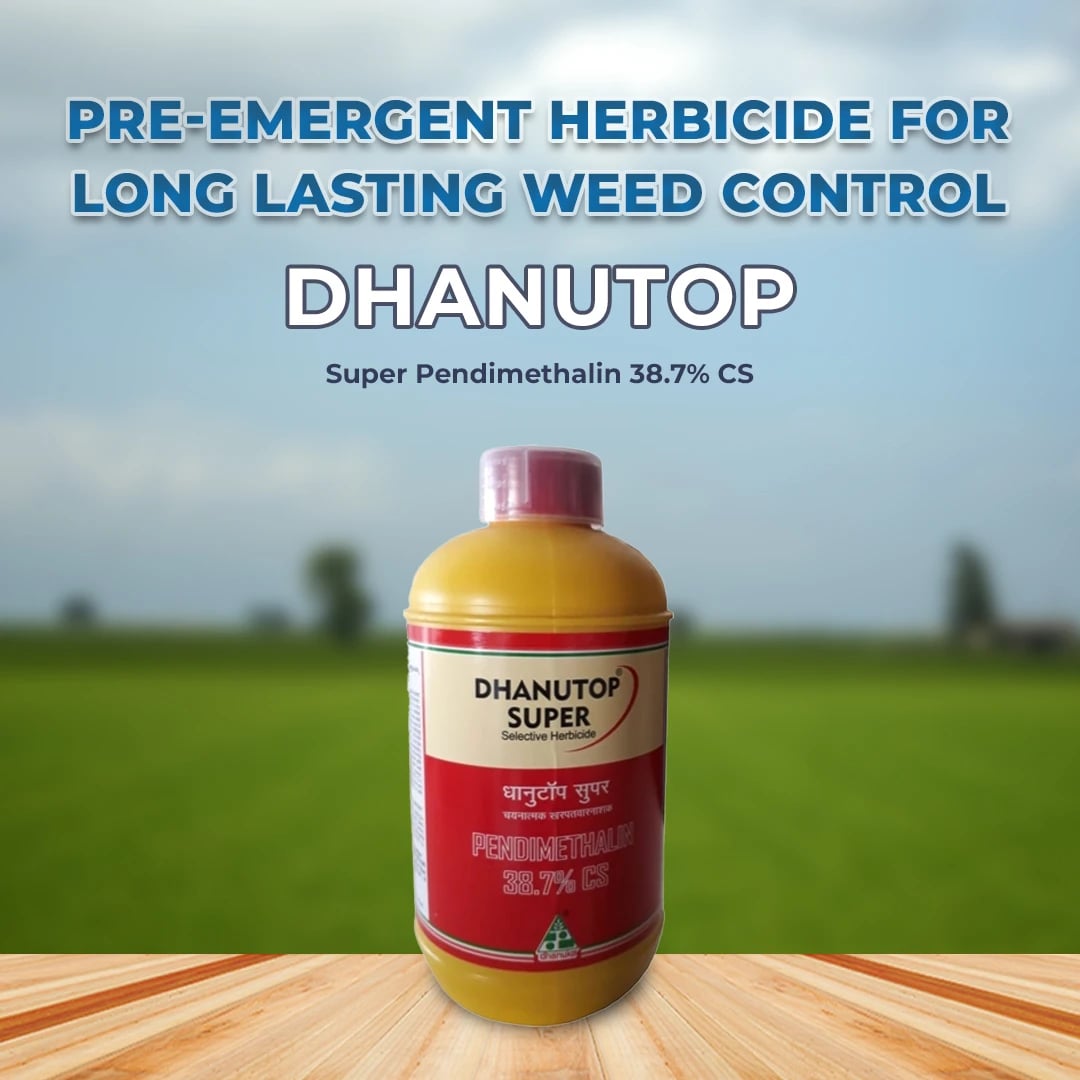 Dhanuka Dhanutop Super Herbicide (Pendimethalin 38.7% CS) Selective, Pre Emergence Dinitroaniline Herbicide Controls Annual Grasses & Broadleaf Weeds