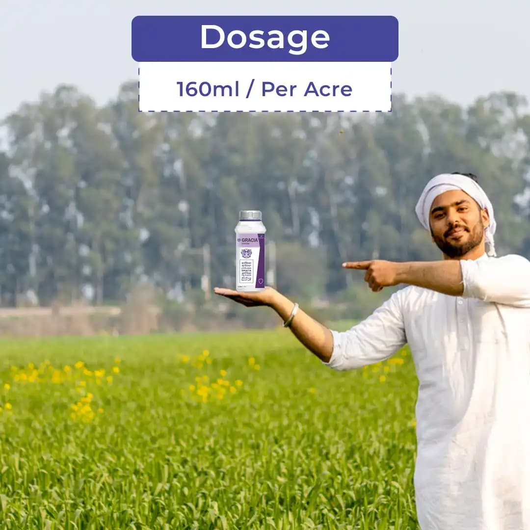 Godrej Gracia Fluxametamide 10% EC, Novel Insecticides Broad Spectrum, Best For All Crops. - Image 5