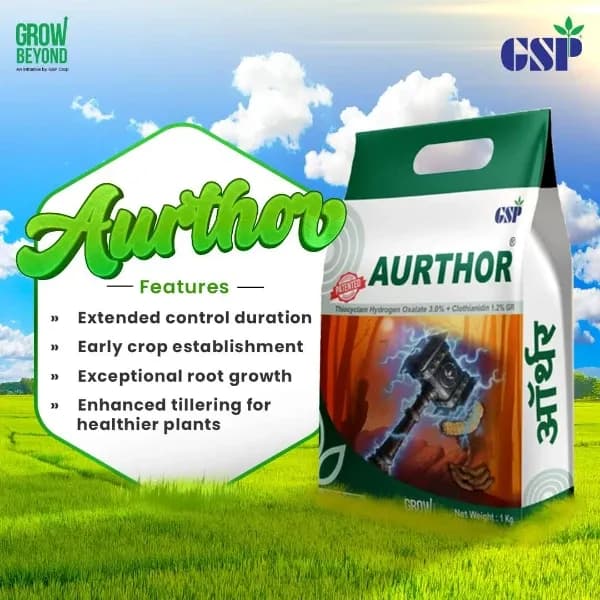 GSP Aurthor Thiocyclam Hydrogen Oxalate 3.0% + Clothianidin 1.2% GR Insecticide, Effective Pests Control In Paddy Crop - Image 2