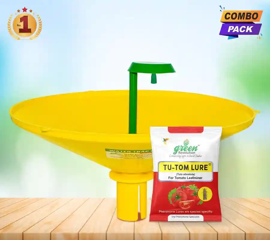 Water Pheromone Trap With TU-TOM Pheromone Lure (Tuta Absoluta ,Tomato Leafminer) for Tomato, Cherry Tomato, and Potato. - Image 8