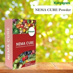 Katyayani Nema Cure Paecilomyces Lilacinus Bio Fungicide Powder Advanced Biological Fungicide For Nematode Control and Improved Soil Health 2