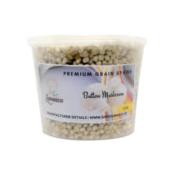 थानवी बायोटेक्नोलॉजी बटन मशरूम स्पॉन, एगैरिकस बिस्पोरस, केवल स्पॉन शामिल, सर्वोत्तम गुणवत्ता 1