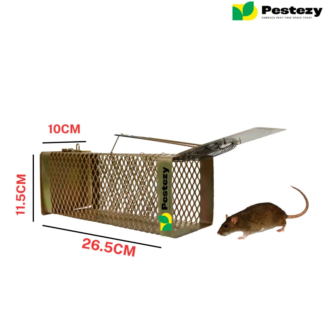 Pestezy Mouse Or Rat Trap Cage, Humane, Durable, Safe And Easy to Use, Cross Design, Allowing For Safe Release - Image 2