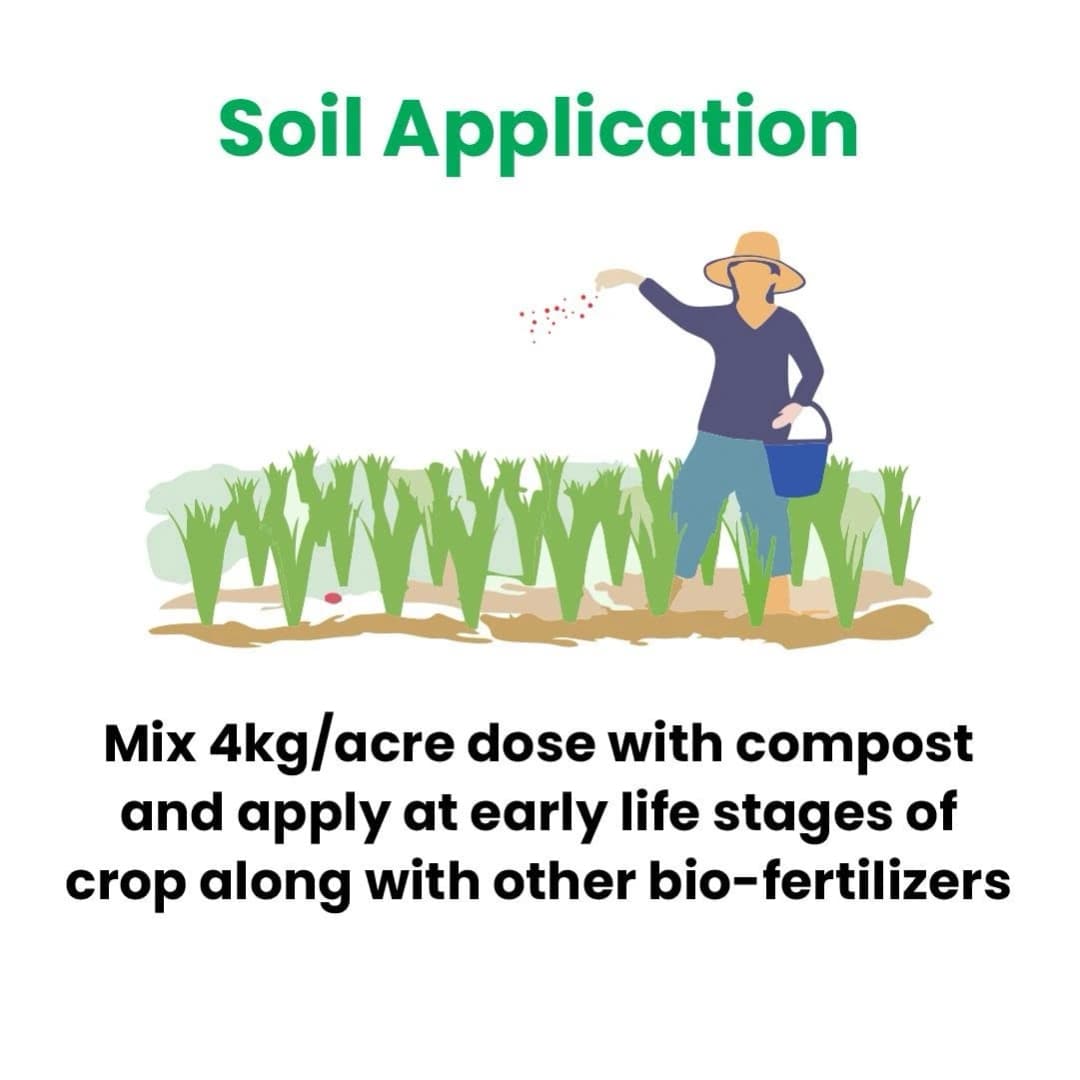 Titan Agritech MYCOPEP Mycorrhizae Bio Fertilizer, Soil Fertility And Plant Nutrition - Image 3