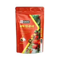 GACIL Mono Ammonium Phosphate (MAP) NPK 12:61:00 Water Soluble Fertilizer for Vegetables and Fruits 1