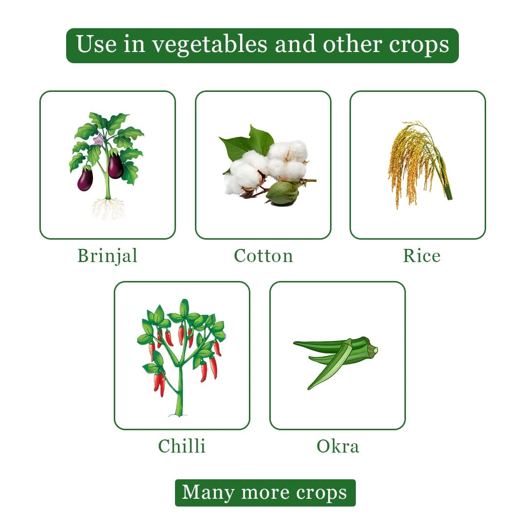 Gharda OMG Insecticide - Image 4