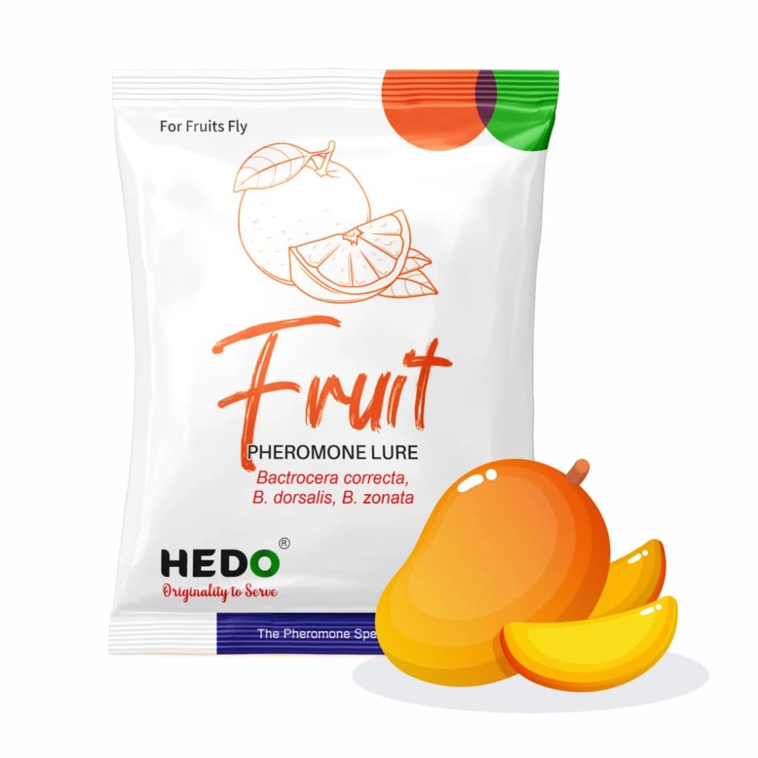 HEDO Fruit Fly Trap And Fruit Fly Lure (Bactrocera Correcta, Bactrocera Zonata, Bactrocera Dorsalisa) Control Fruit Fly In All Fruits - Image 4