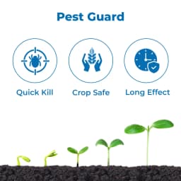 Suraksha Kit For Thrips And Mites Control at Growth Stage 40-45 Days (F-Zone 250 ML + Alpha Bio 250 ML + Spring Ever 1 Ltr + NB 80 250 ML) 3