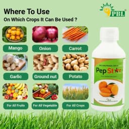 Titan Agritech Pep Star Paclobutrazol 23%, Mango Plant Growth Fertilizer, For Development Of Better Fruit Colour & Size 6