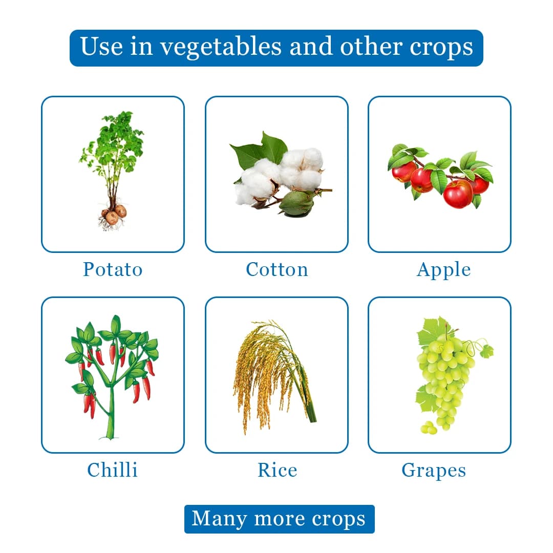 Bayer Antracol Propineb 70% WP, A Contact, Systemic Fungicide with Broad-Spectrum Activity - Image 4