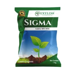 Exylon SIGMA Sulphur 80% WDG Fungicide, Efficient Disease Control In Multiple Crops 1