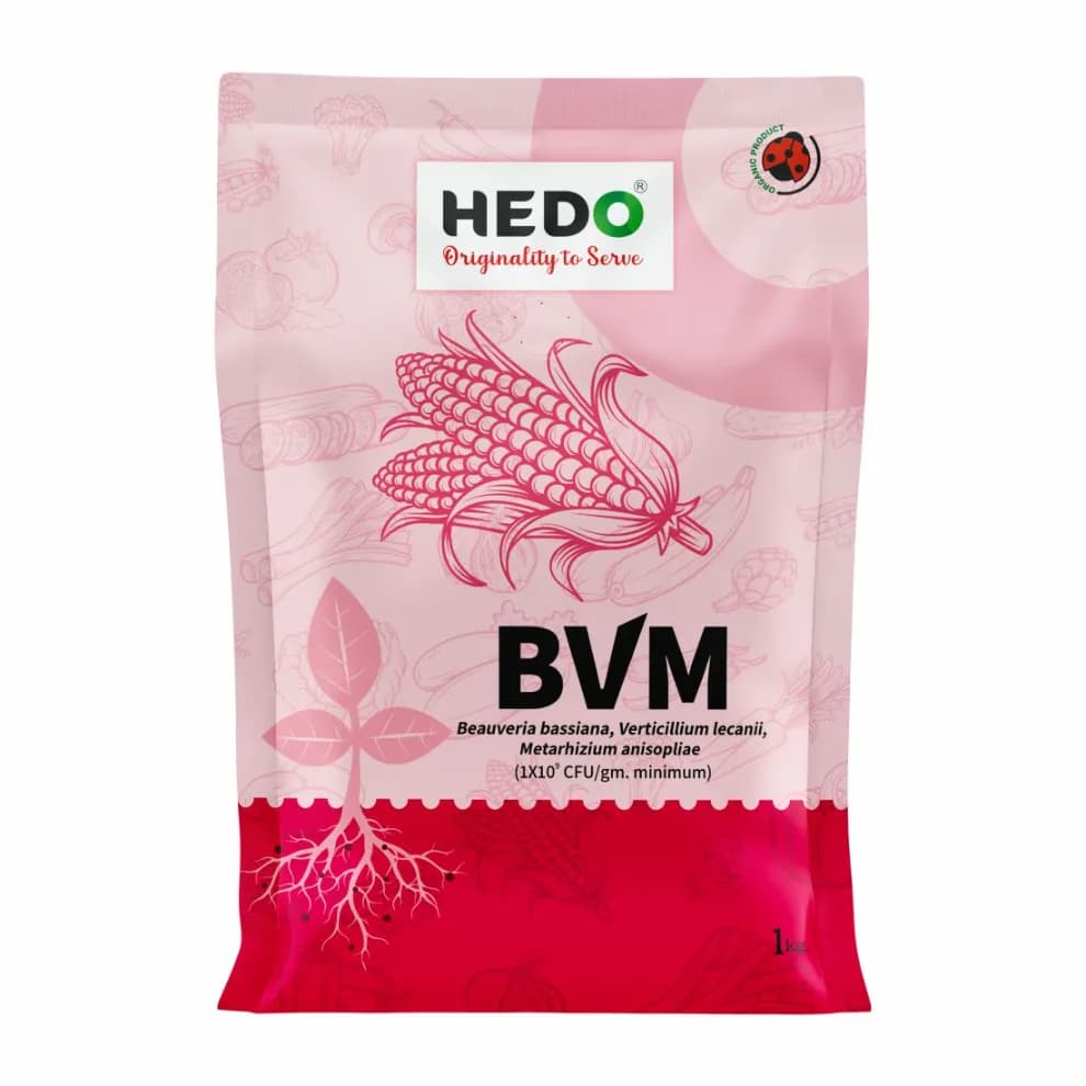 HEDO BVM (Beauveria bassiana + Verticillum Lecanii + Metarhizium Anisopliae) Powder For Agriculture, Garden & All Crops To Control Aphids