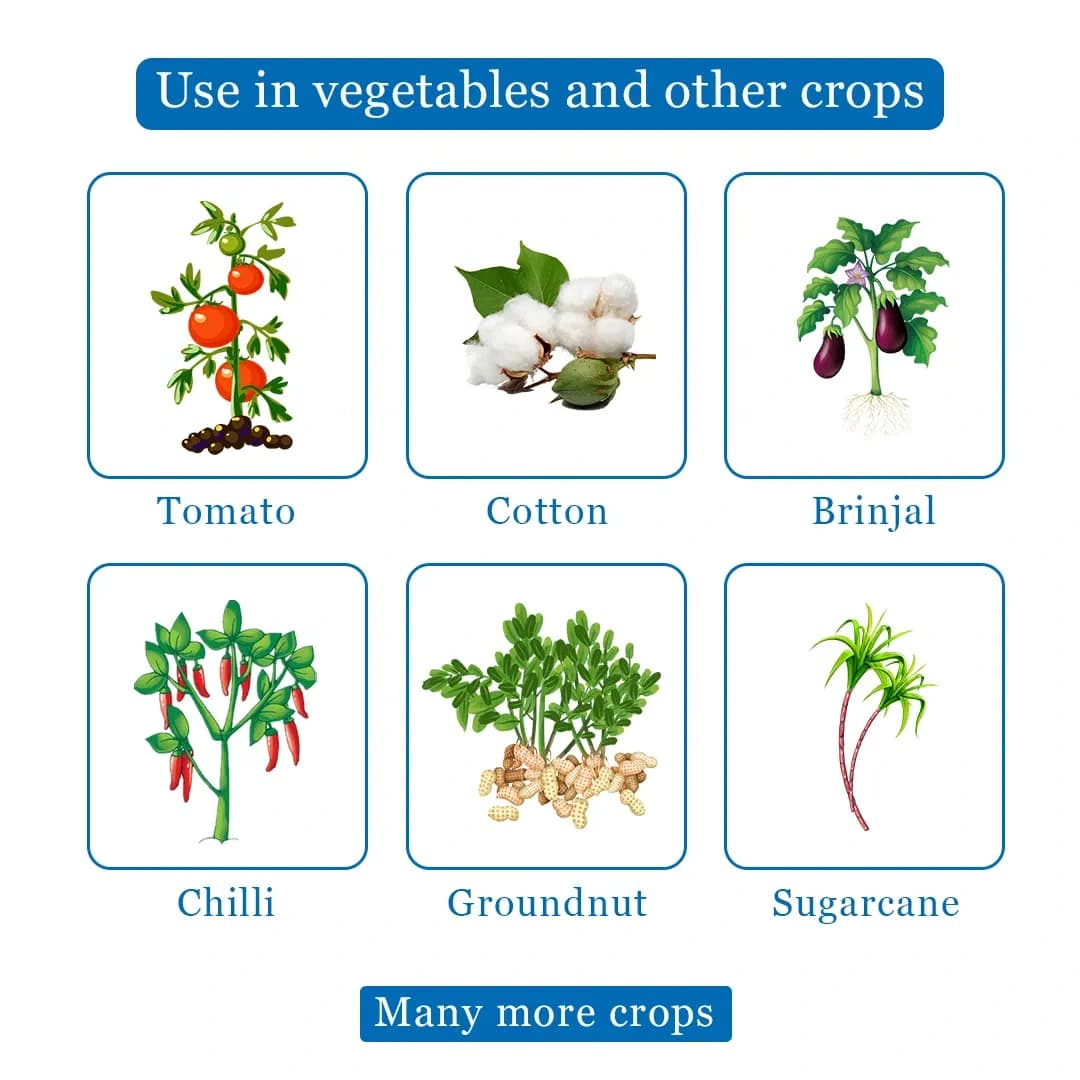 EBS F+Imida Insecticides - Fipronil 40% + Imidacloprid 40% WG - Image 4
