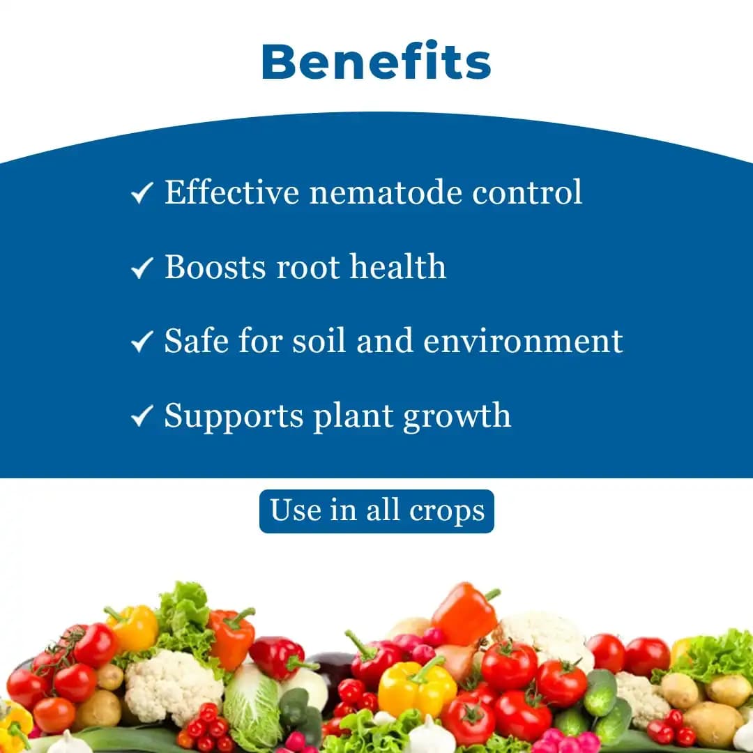 Amruth AGRI NEMATODE (Paecilomyces Lilacinus), 5 X 7 cfu-gm, 108 cfu-ml., Nematodes Pests. - Image 4