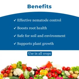Amruth AGRI NEMATODE (Paecilomyces Lilacinus), 5 X 7 cfu-gm, 108 cfu-ml., Nematodes Pests. 4