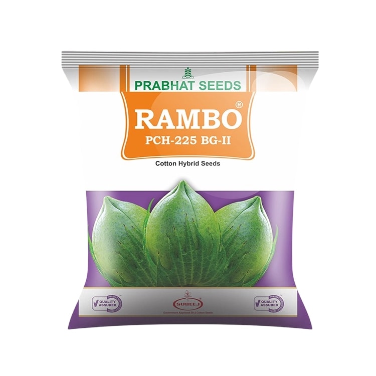 Prabhat Rambo PCH 225 BG-II Hybrid Cotton Seeds, Early Maturity and High Yield (475 Gm)