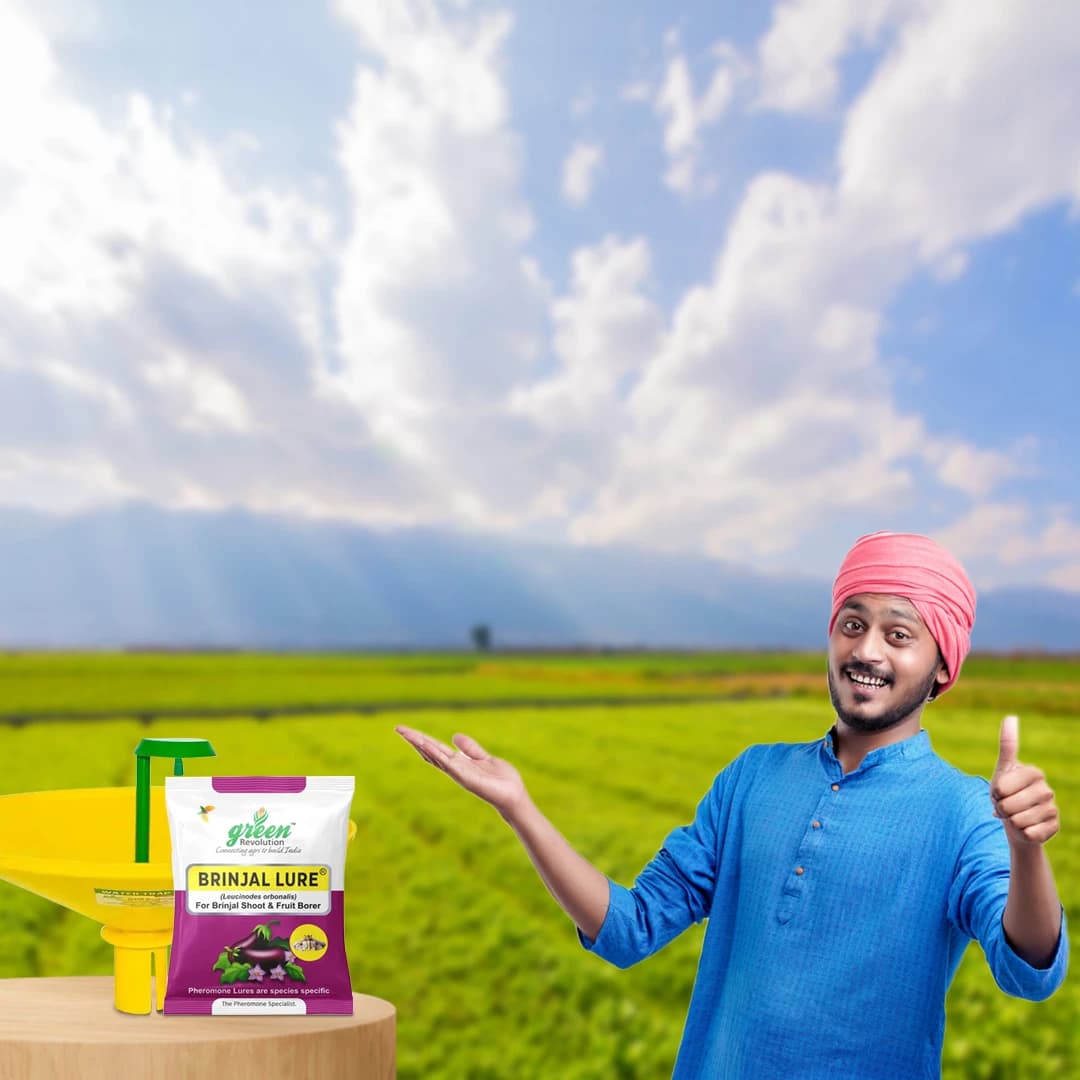 Water Pheromone Trap with Brinjal Lure (Leucinodes Orbonalis) For Brinjal Fruit and Shoot Borer Insect. - Image 5