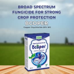 BACF Bcoper Copper Oxychloride 50% WG, Contact Action, Broad Spectrum Fungicide 2
