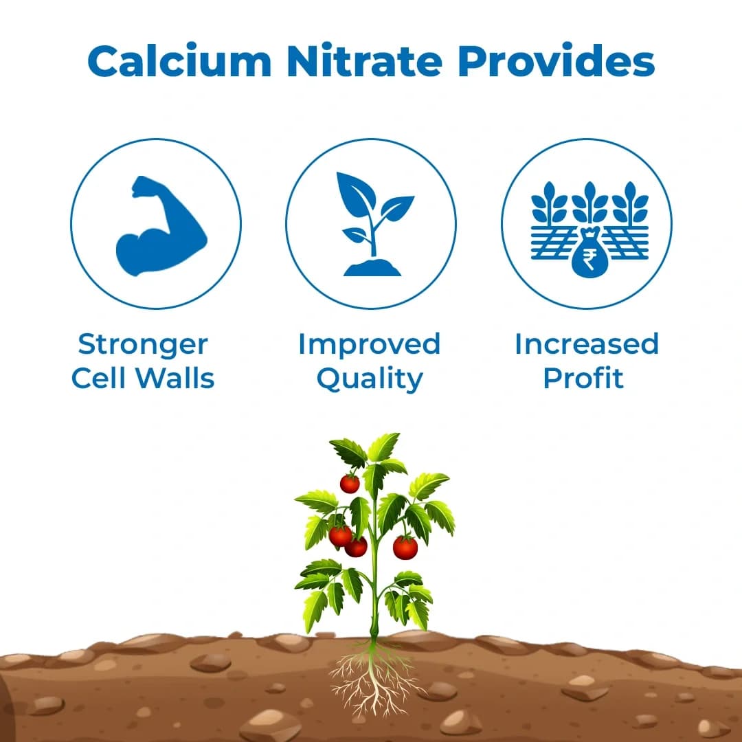 Gacil Calcium Nitrate for Fruit and Vegetable Plant Growth, Boosts Flowering and Fruit Holding Capacity - Image 3