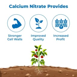 Gacil Calcium Nitrate for Fruit and Vegetable Plant Growth, Boosts Flowering and Fruit Holding Capacity 3