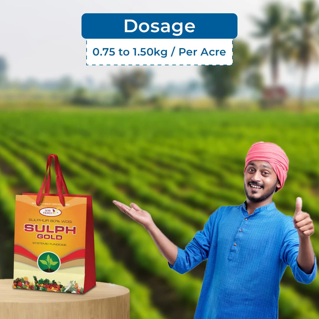 Agriventure Sulph Gold (Sulphur 80% WDG) Contact Fungicide, Used for the Control of Powdery Mildew For Grapes and Mango - Image 5