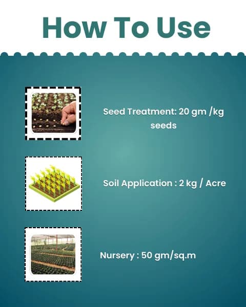 Katyayani Nemotode Plus Verticillium Chlamydosporium 1% WP, Biological Control Agent For Effective Nematode Management - Image 5