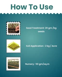 Katyayani Nemotode Plus Verticillium Chlamydosporium 1% WP, Biological Control Agent For Effective Nematode Management 5