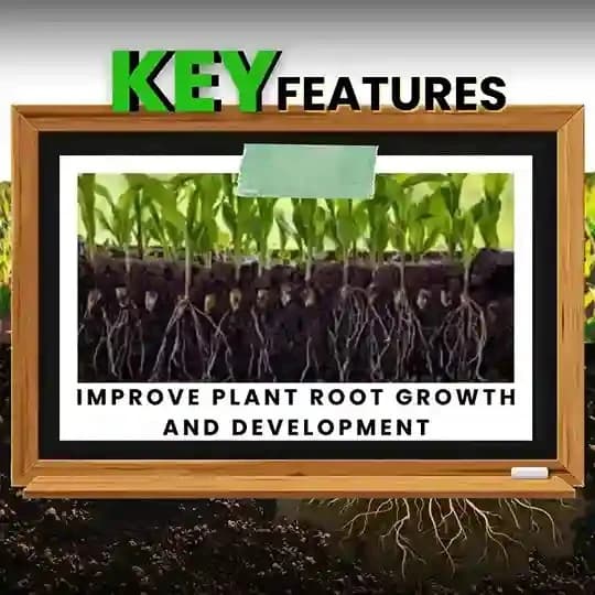 Katyayani Bhumiraja Mycorrhiza Bio Fertilizer, Advanced Mycorrhizal Fungi For Enhanced Soil Health and Plant Growth - Image 3