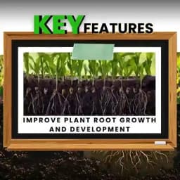Katyayani Bhumiraja Mycorrhiza Bio Fertilizer, Advanced Mycorrhizal Fungi For Enhanced Soil Health and Plant Growth 3