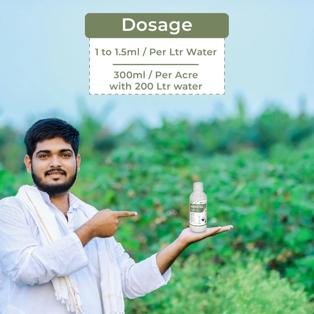 Arostel - Azoxystrobin 11% + Tebuconazole 18.3% SC, Broad Spectrum Fungicide - Image 5