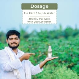 Arostel - Azoxystrobin 11% + Tebuconazole 18.3% SC, Broad Spectrum Fungicide 5