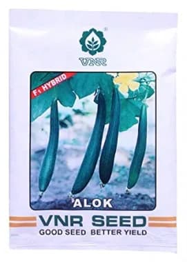 VNR Sponge Gourd Alok F1 Hybrid Seeds, Gilki ke Beej, Very High Yielding, Best In Germination. - Image 2