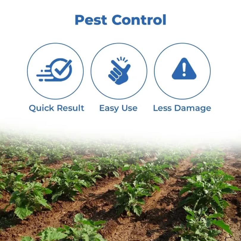 Green Revolution Brinjal Lure - Pheromone Trap For Brinjal - Image 3