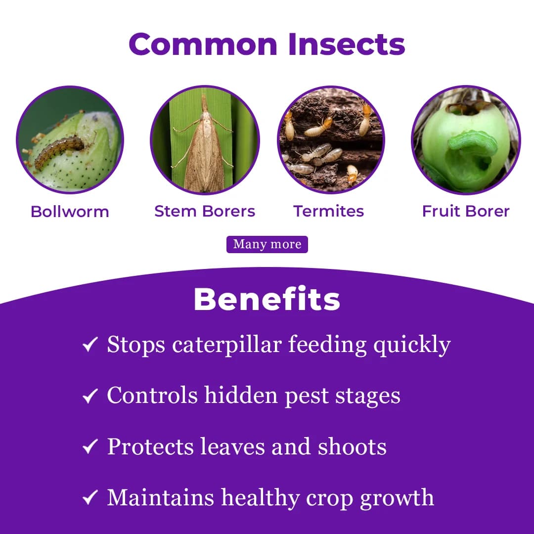 HPM Tathastu Insecticide - Image 3