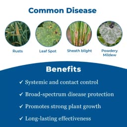 FMC Gezeko Tebuconazole 50% + Trifloxystrobin 25% WG. Broad Spectrum Systemic Fungicide 3